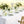 Load image into Gallery viewer, 2/4/6 Pack Tablecloth 60 x 102 inch Polyester Table Cloth for 6 Foot Rectangle Tables,Stain and Wrinkle Resistant Washable Fabric Table Covers Polyester Beige Table Clothes for Wedding,Party,Banquet
